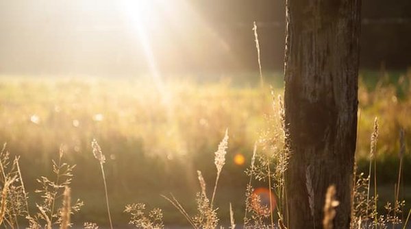 Quels critères pour choisir un bijou soleil ?