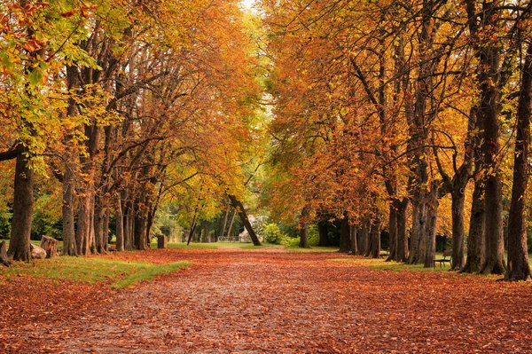 Comment choisir des talons adaptés pour les événements en plein air sans sacrifier l'élégance ?